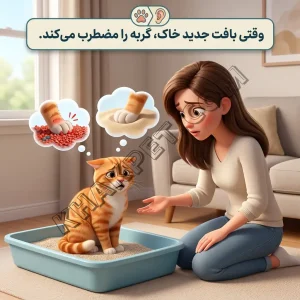  افت کیفیت خاک گربه