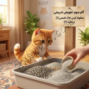 بهترین خاک گربه