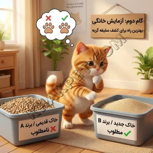 بهترین خاک گربه