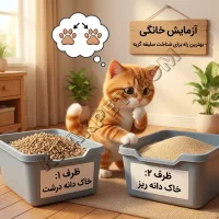 بهترین خاک گربه